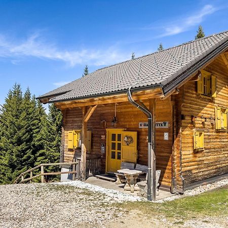 1A Chalet Enzianhuette - Ski Fahren Und Indoor Sauna Villa Elsenbrunn Dış mekan fotoğraf