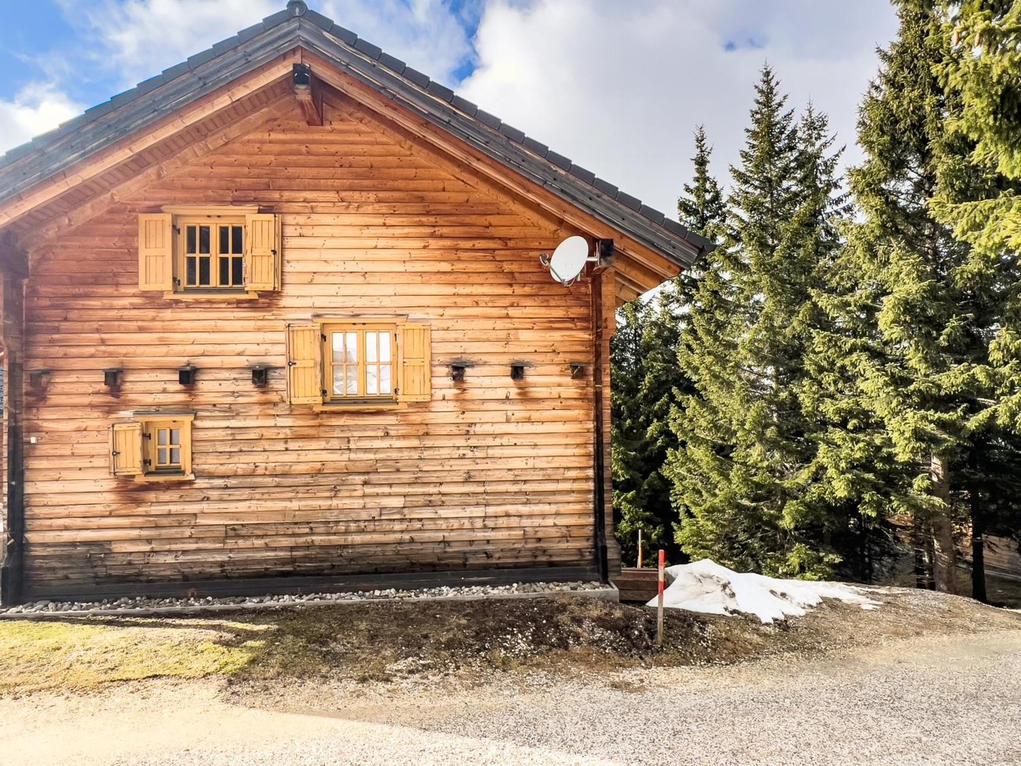 1A Chalet Enzianhuette - Ski Fahren Und Indoor Sauna Villa Elsenbrunn Dış mekan fotoğraf