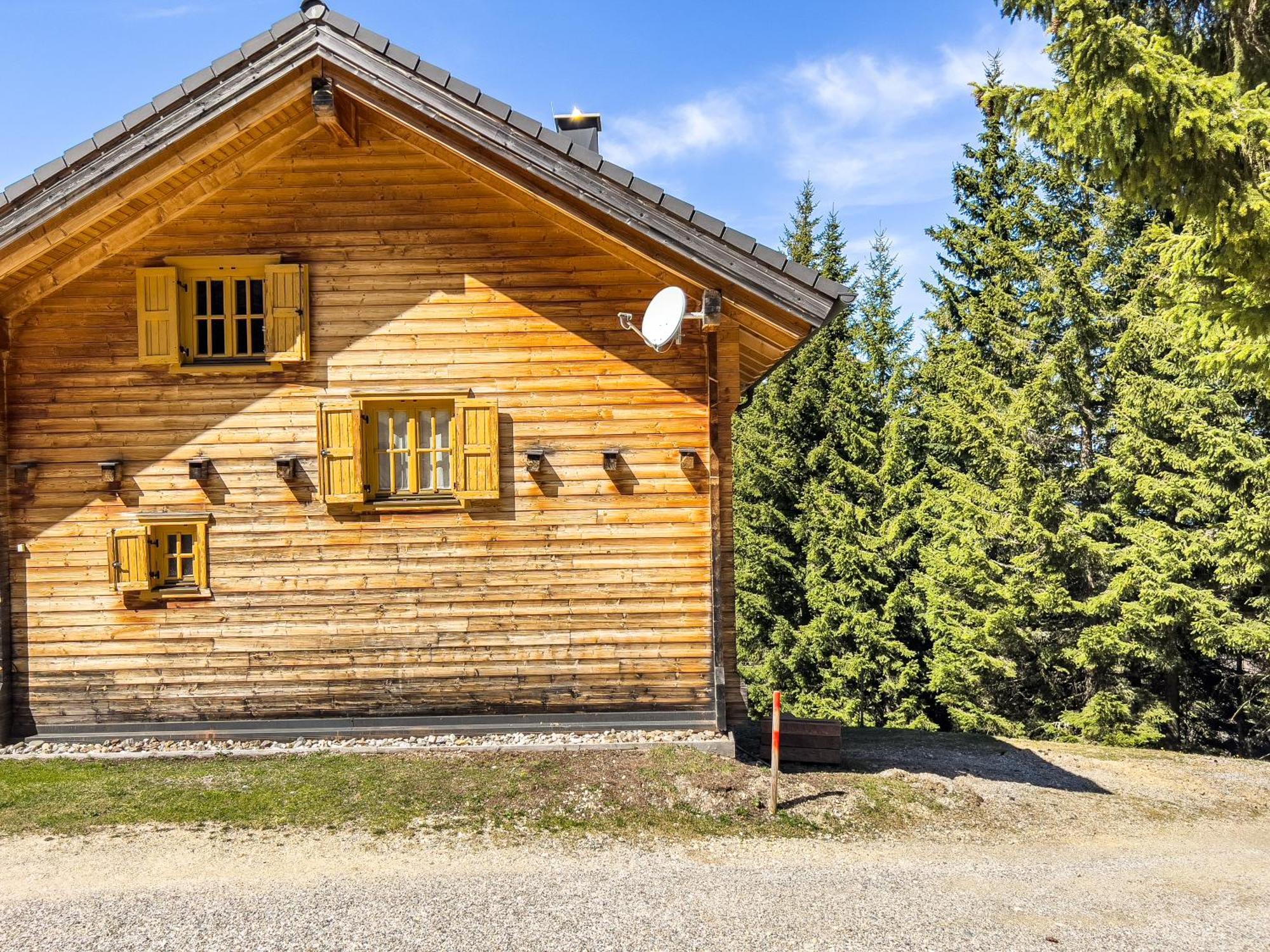 1A Chalet Enzianhuette - Ski Fahren Und Indoor Sauna Villa Elsenbrunn Dış mekan fotoğraf