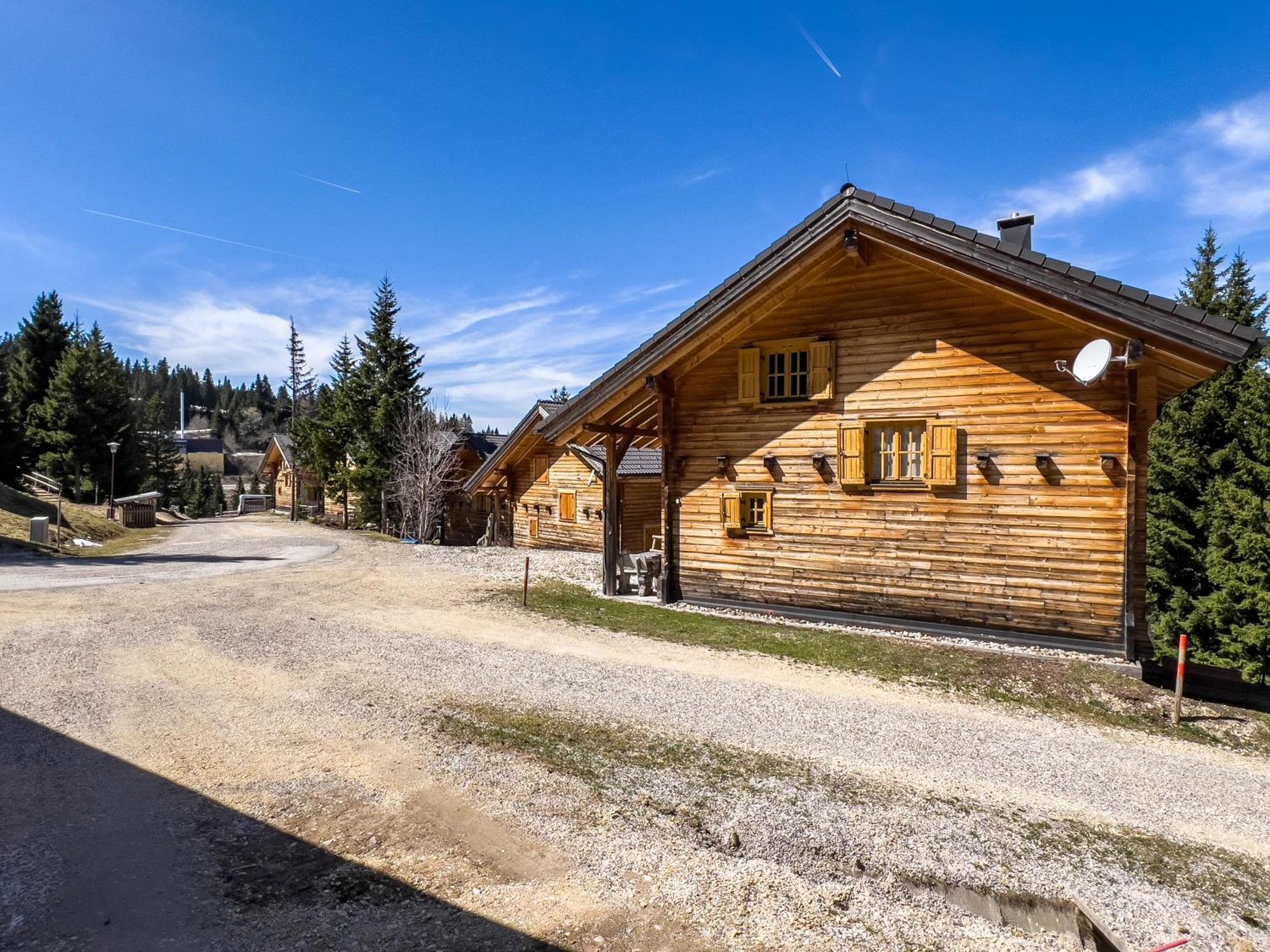 1A Chalet Enzianhuette - Ski Fahren Und Indoor Sauna Villa Elsenbrunn Dış mekan fotoğraf