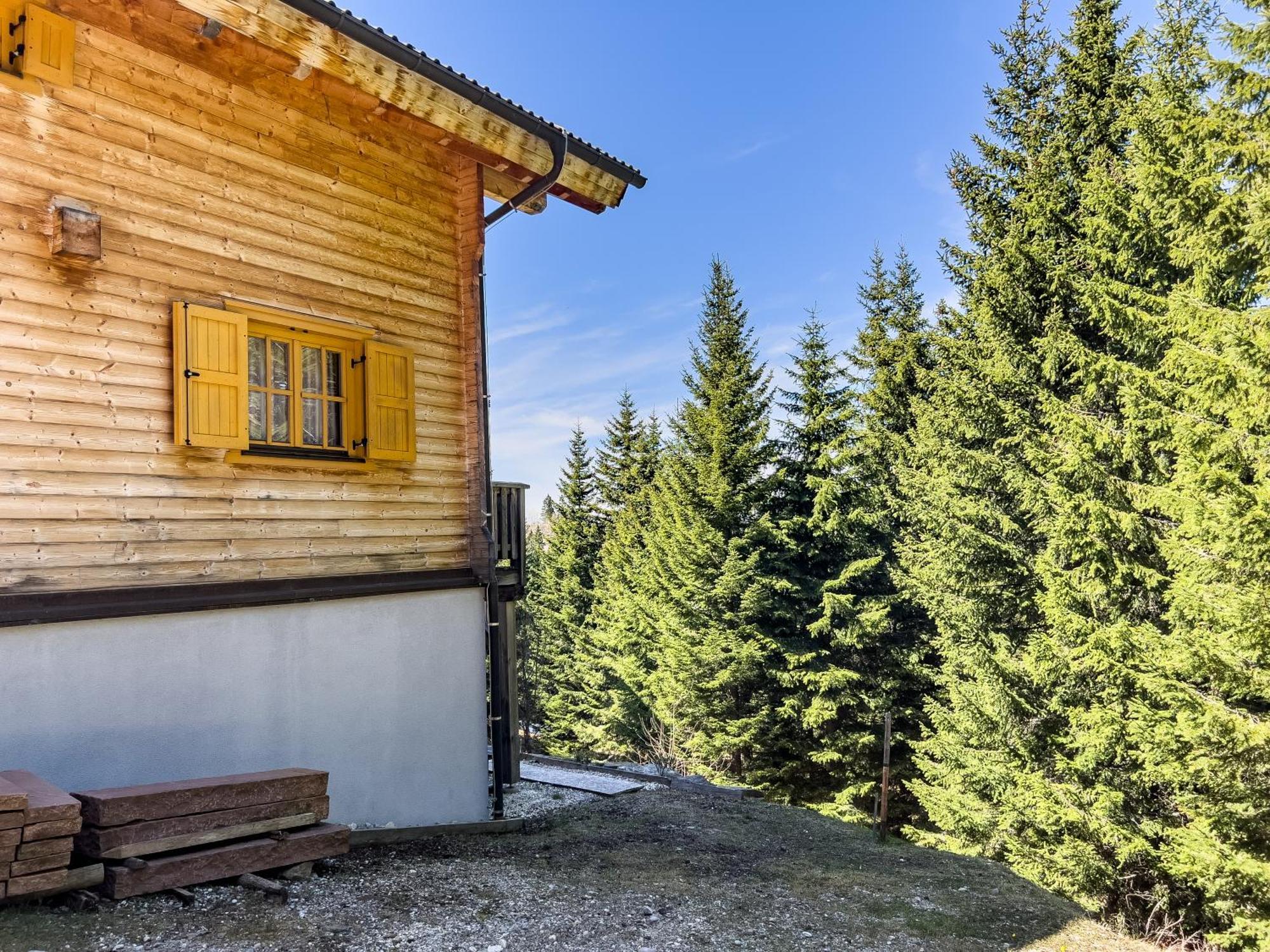 1A Chalet Enzianhuette - Ski Fahren Und Indoor Sauna Villa Elsenbrunn Dış mekan fotoğraf